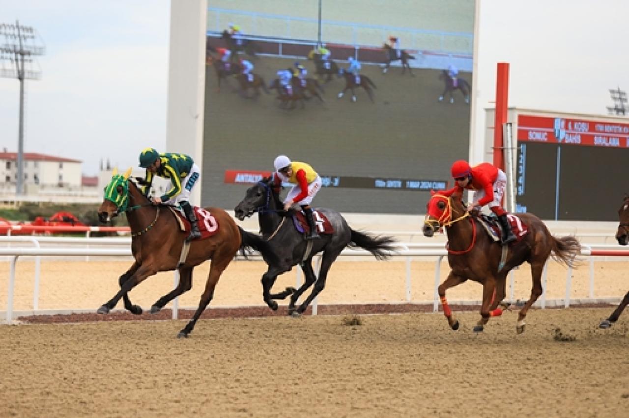 Döşemealtı Belediyesi Koşusu'nu Nymphadora Tonks kazandı