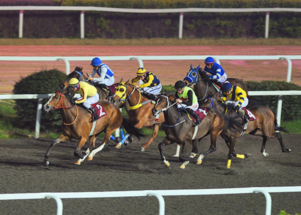 Reha Eken Koşusu'nda birinciliğe Bonny Bomb uzandı