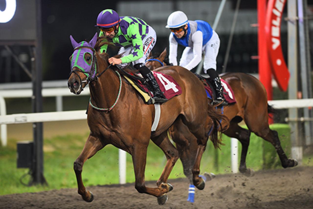 Seyfettin Çalbatur Koşusu'nda birinciliğe Son Rising uzandı