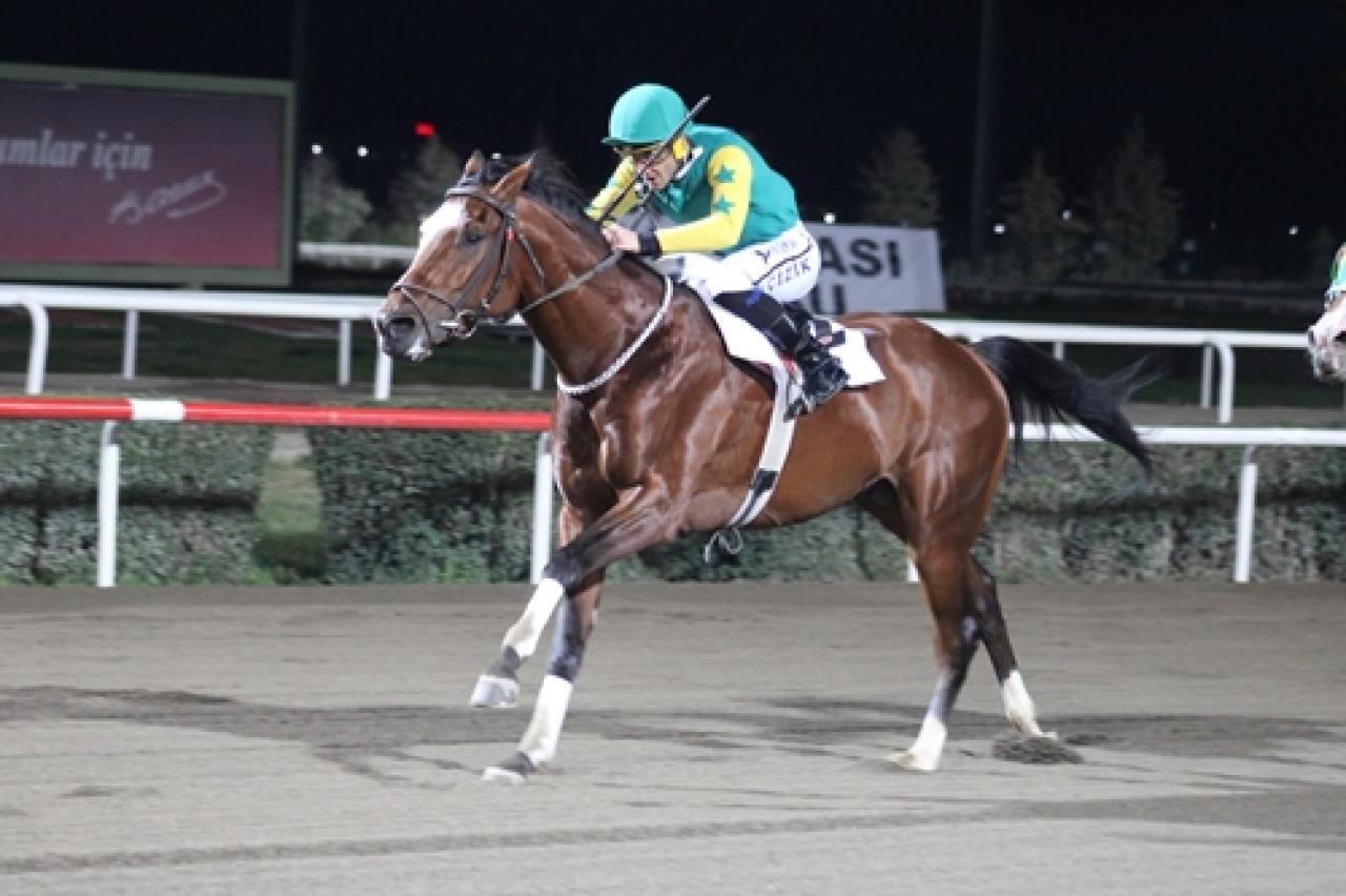 Şanlıurfa Vali Koşusu'nu Pekalp Kazandı