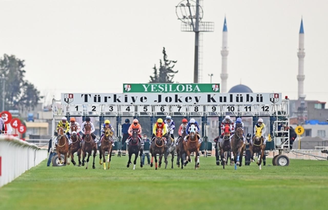 Çim yarışları başlıyor