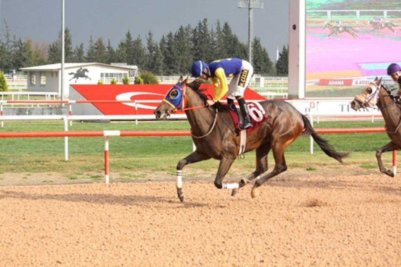 TSYD Adana Şubesi Koşusu'nu Marie Lu kazandı