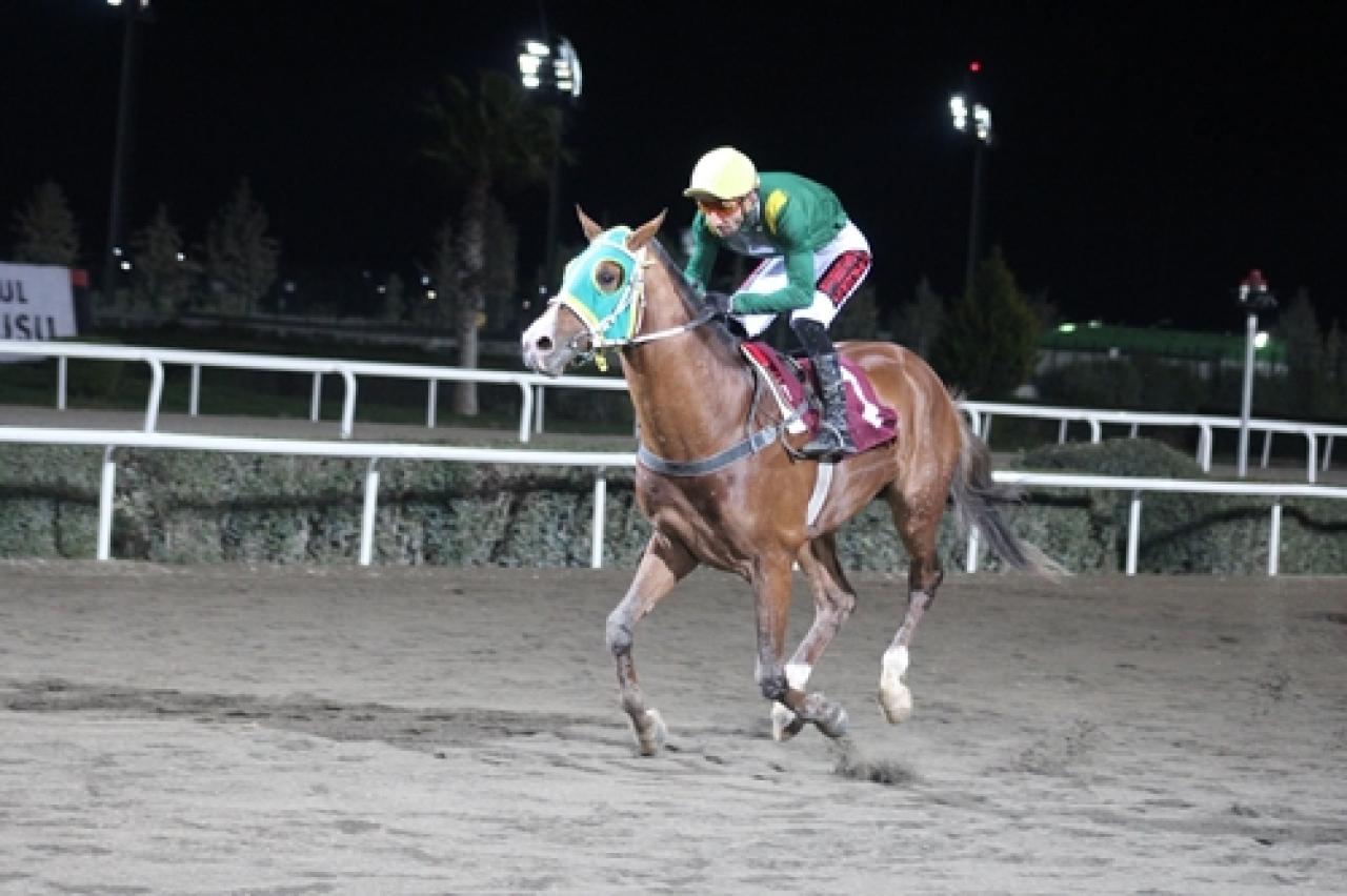 Müslüm Tumbul Koşusu'nu Girdabın Oğlu kazandı