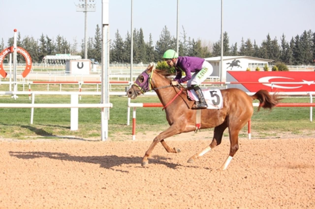 Adana Vali Koşusu'nu Kalbimdesin kazandı