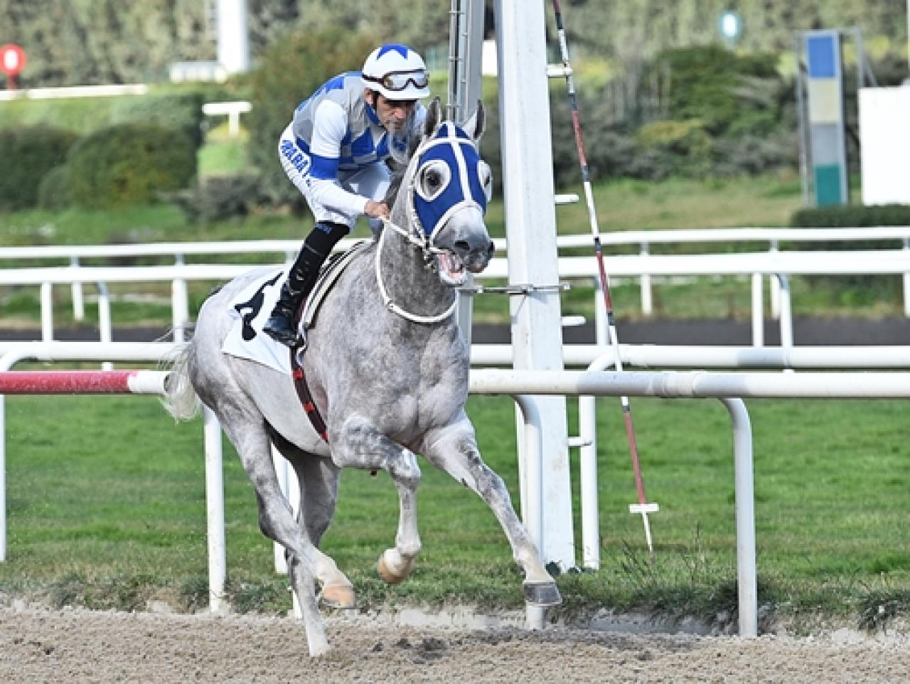 Kurucu Üyemiz Nejat Evliyazade'yi saygıyla anıyoruz