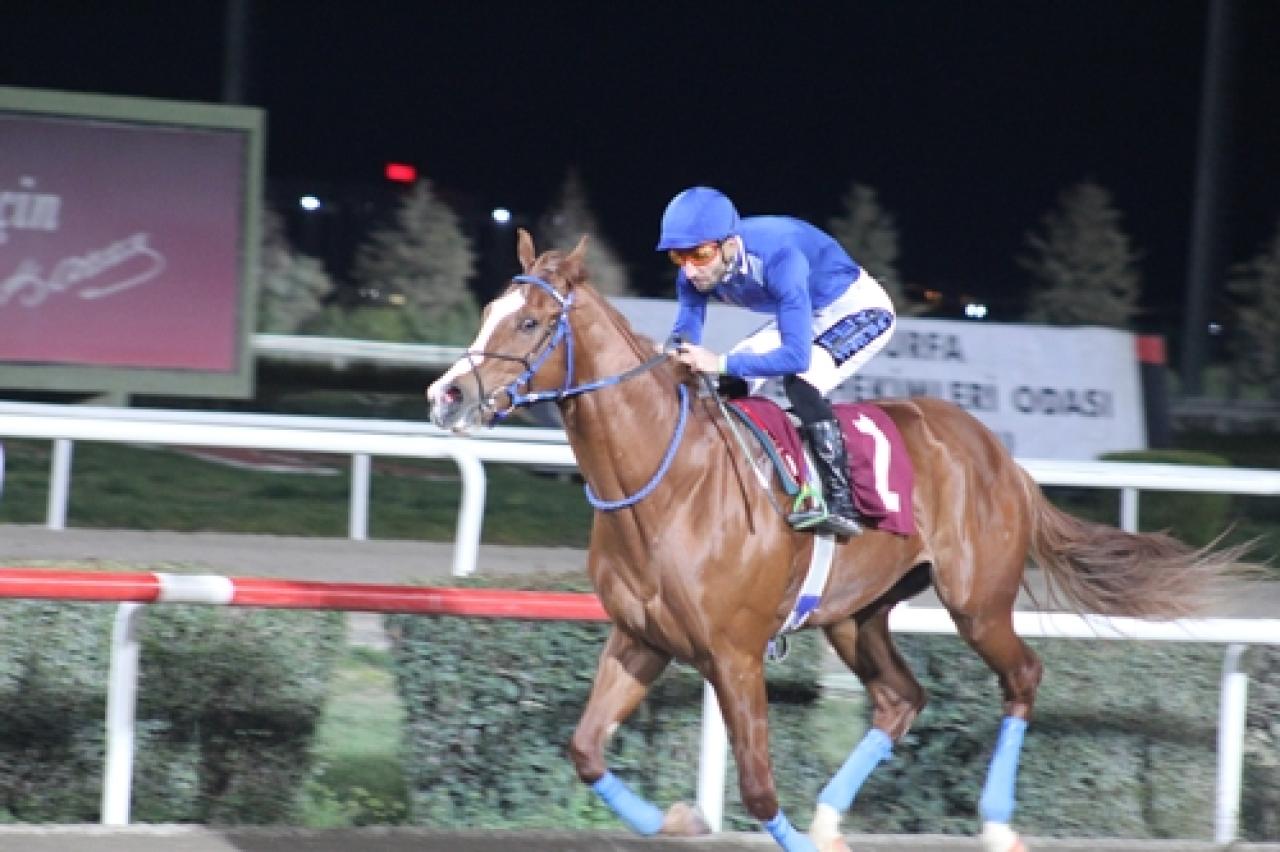 Şanlıurfa Veteriner Hekimler Odası Koşusu'nu Approve Wan kazandı