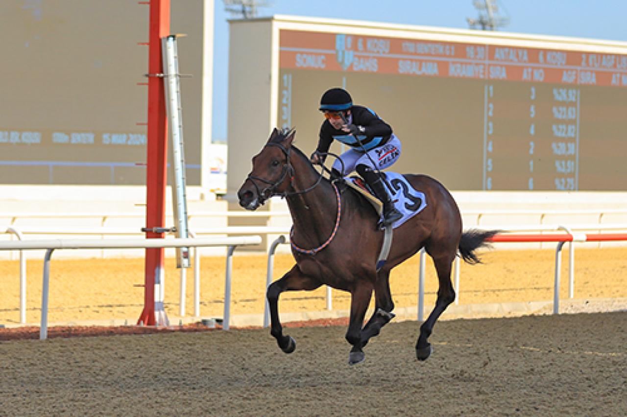 Antalya Büyükşehir Belediye Başkanlığı Koşusu'nu Comeback Is Real kazandı