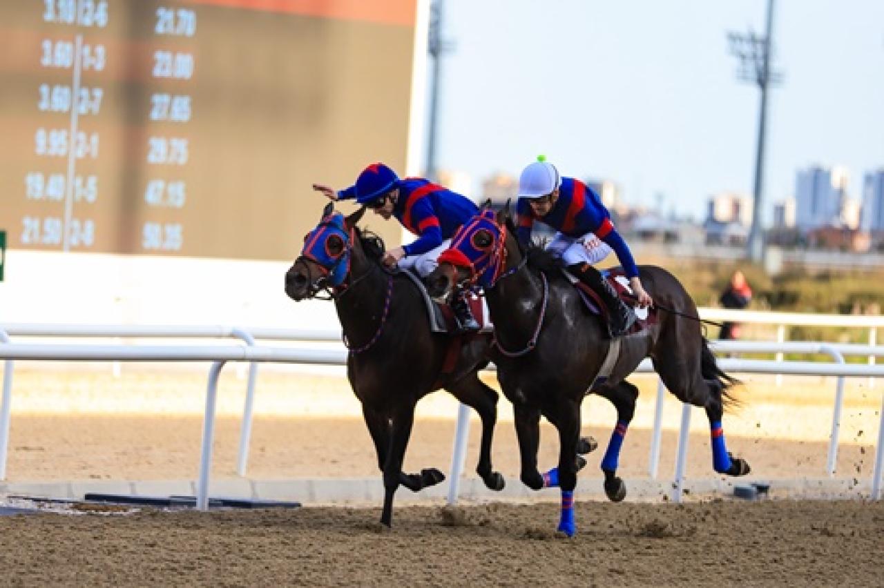 Tarcan İşcen Koşusu’nu Masterclassman kazandı