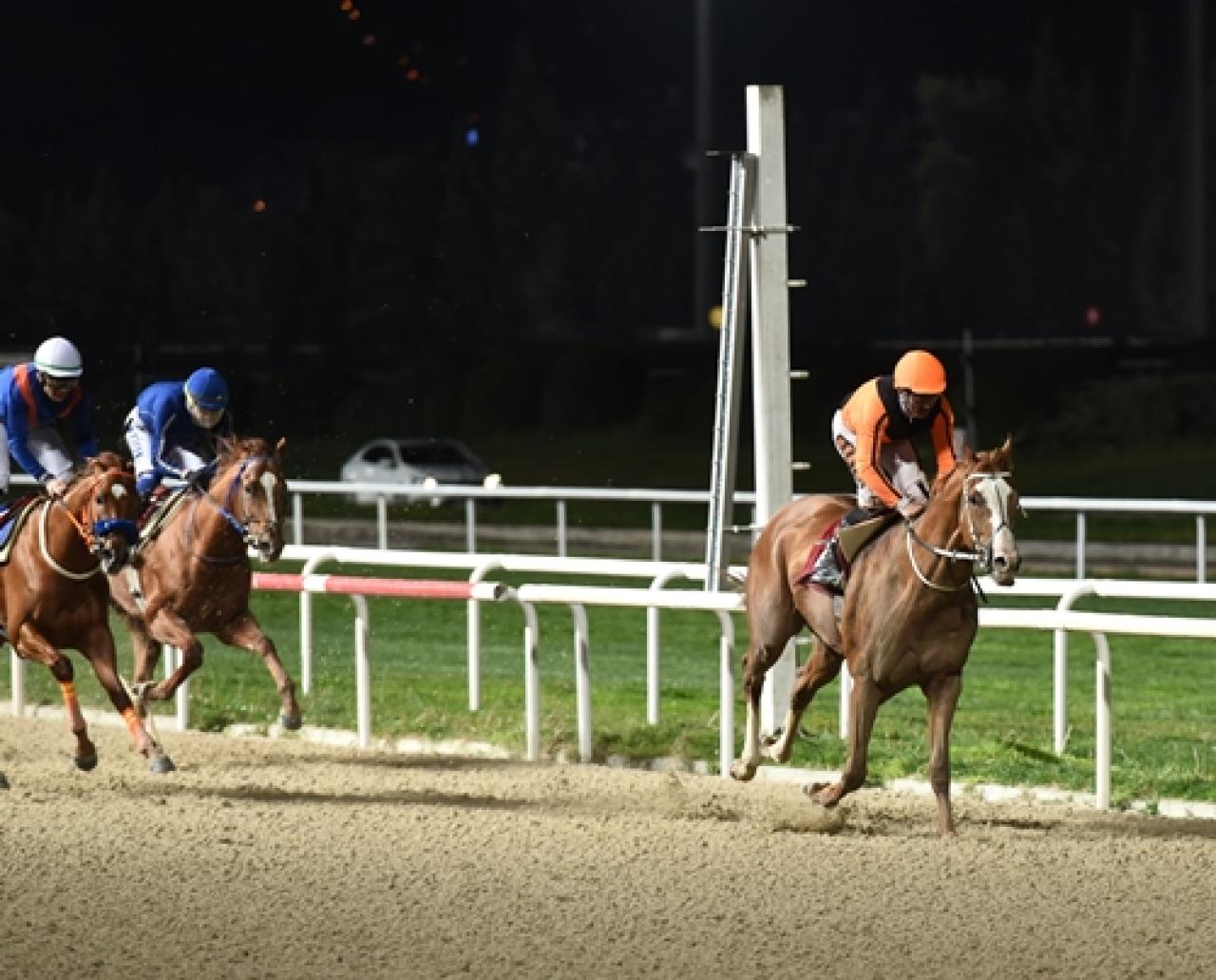 Buca Belediye Başkanlığı Koşusu'nu üst üste ikinci kez Wardenclyffe kazandı