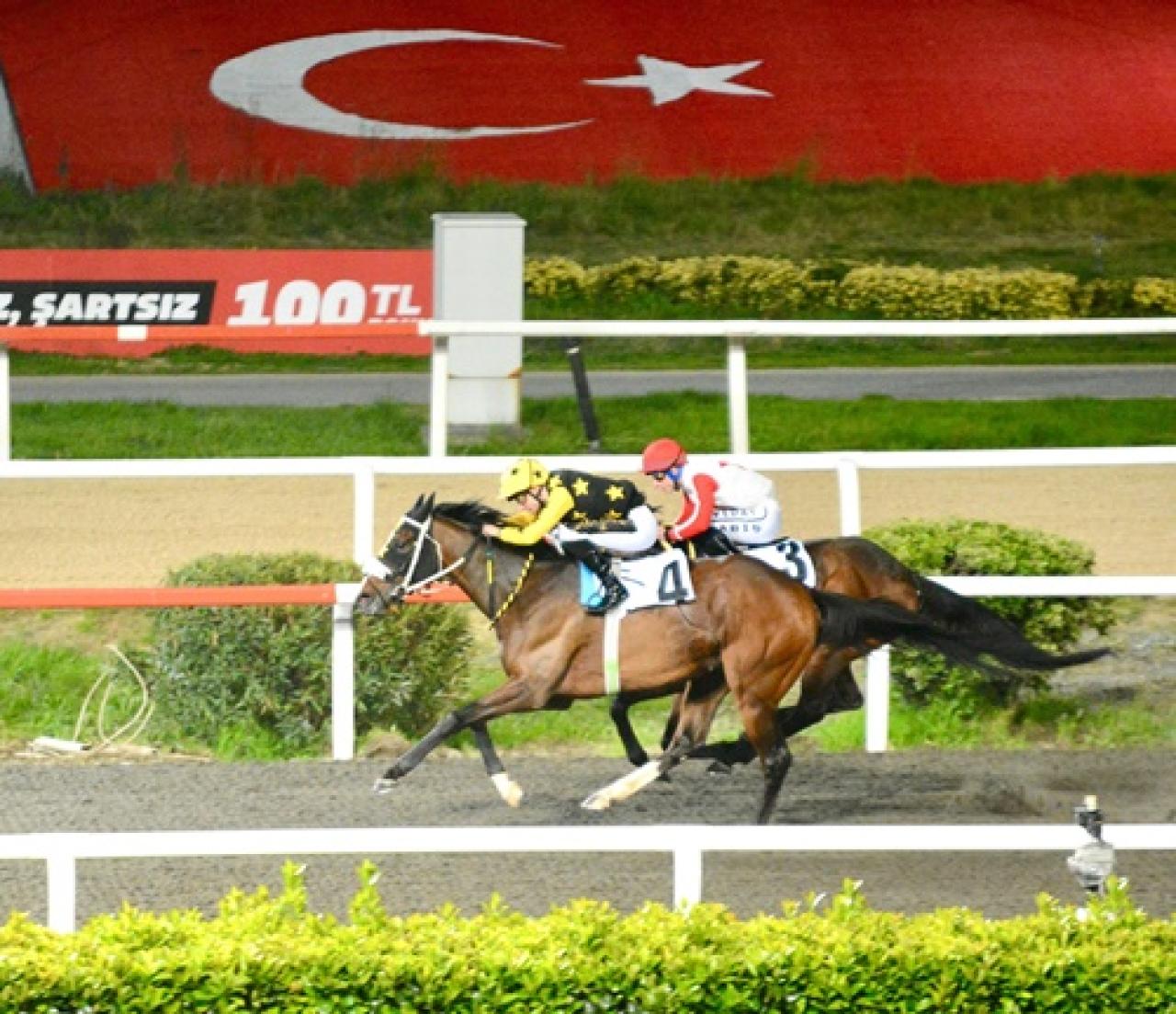 Galata Kulesi Koşusu'nda birinciliğe Touch the Cat uzandı