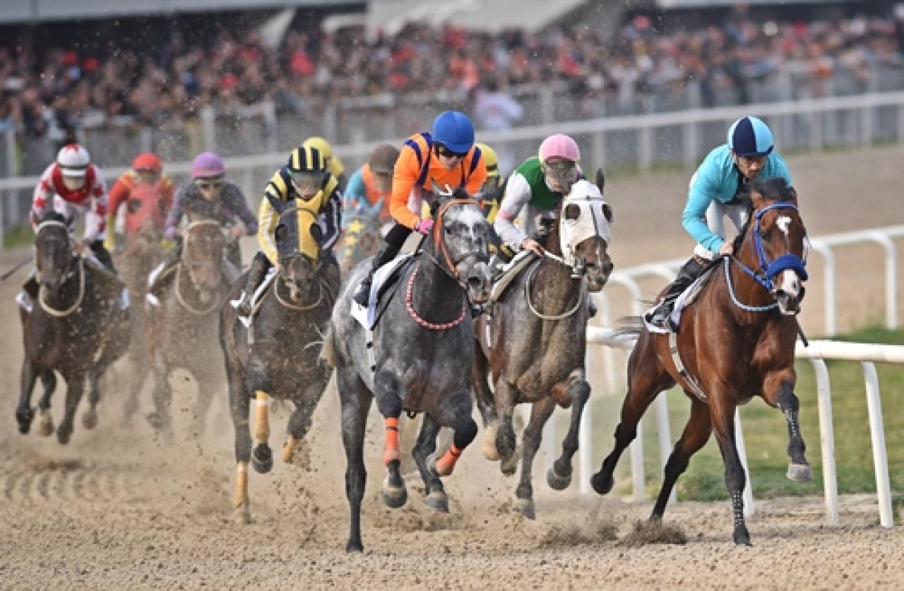 62. Ege Derbisi'nde kazanan Kayı Beyi oldu