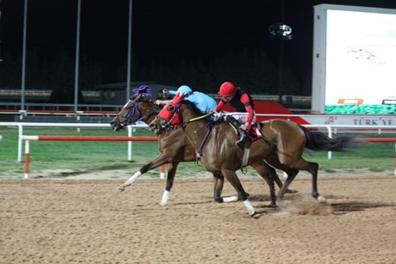Tarsus Ziraat Odası Başkanlığı Koşusu'nu Prenses Sylvester kazandı