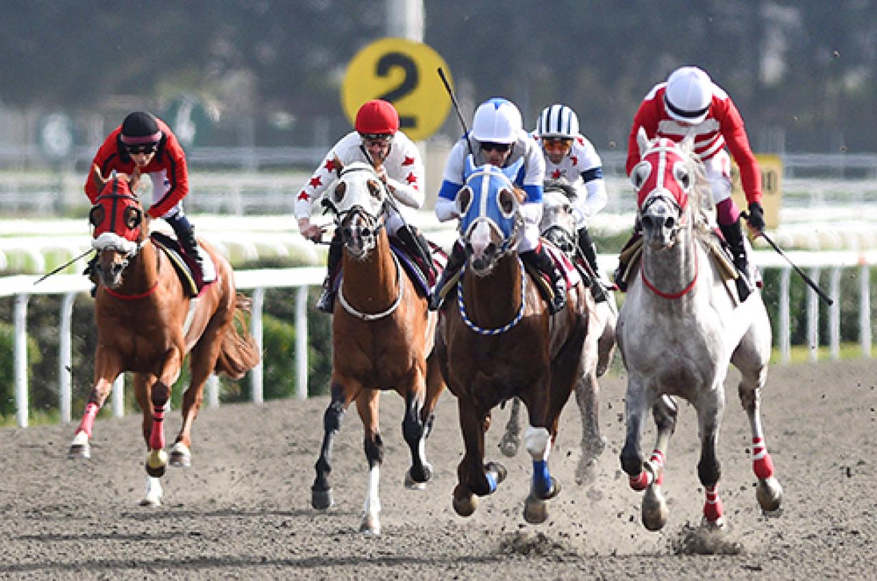 Çorlu Belediye Başkanlığı Koşusu'nu Fedai kazandı