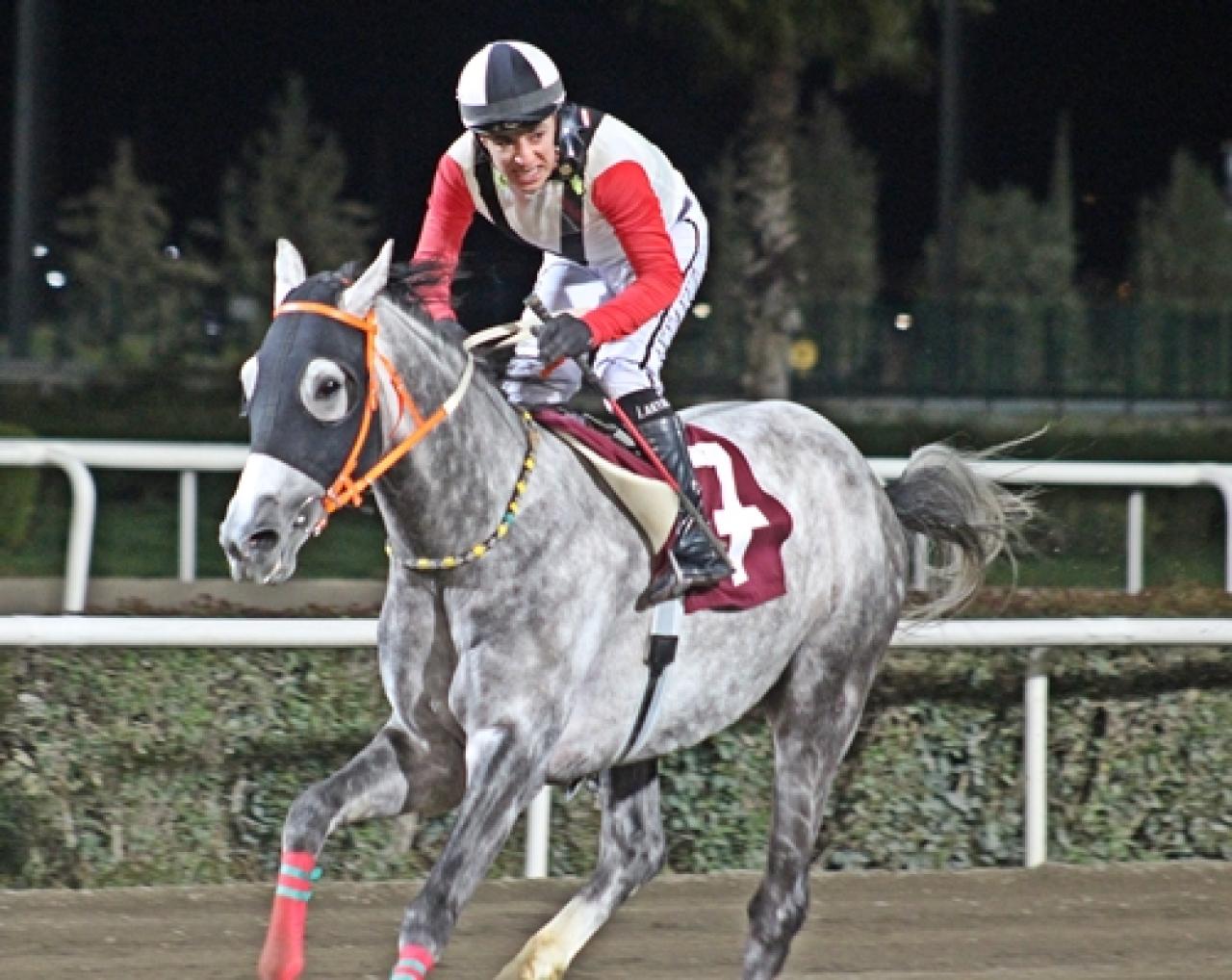 Suruç Kaymakamlığı Koşusu'nda kazanan Yarova oldu