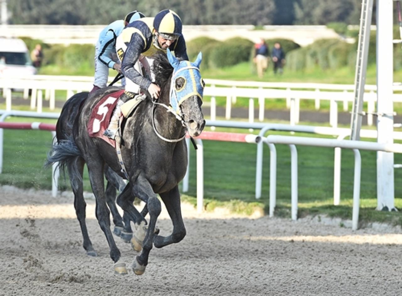 Merhum Asli Üyemiz Turgut Koyuncuoğlu'nu saygıyla anıyoruz