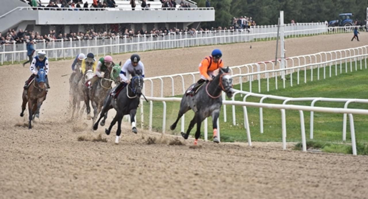 Turgut Koyuncuoğlu Koşusu'nu Colour Of Light kazandı