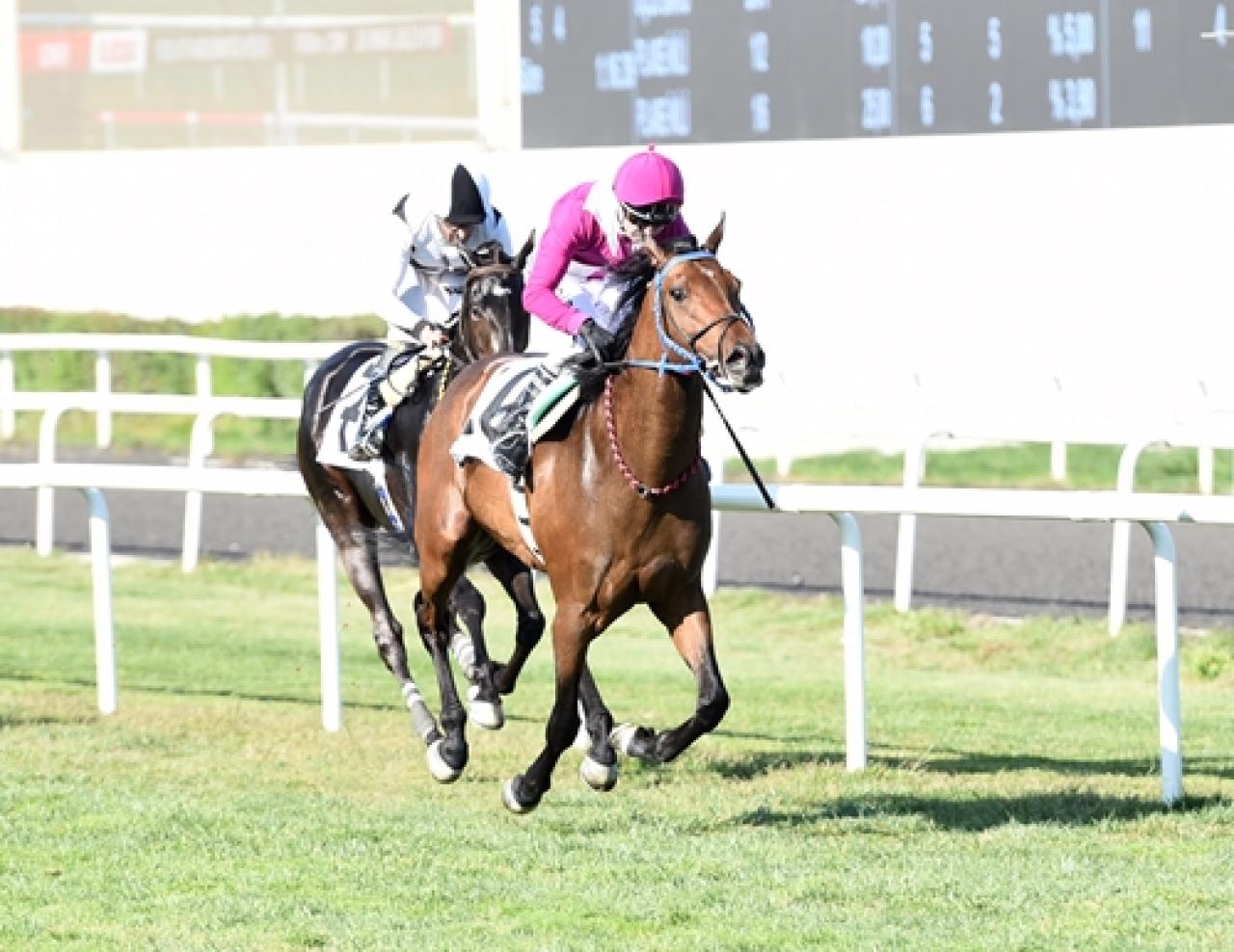 Fevzi Lütfi Karaosmanoğlu, Sadık Giz ve Sedat Özcan'ı saygıyla anıyoruz