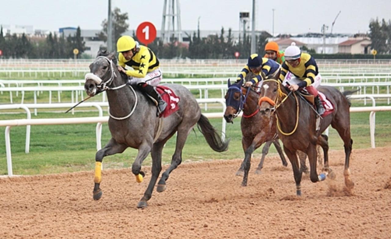 Çukurova Gazeteciler Cemiyeti Koşusu'nu Super Chiron kazandı