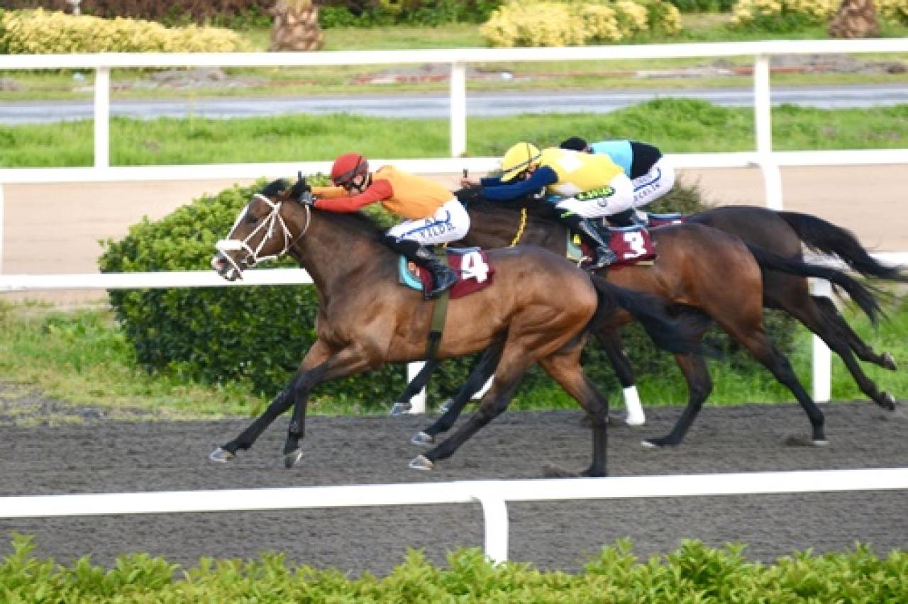 Sedat Özcan Koşusu'nu Vincitore kazandı