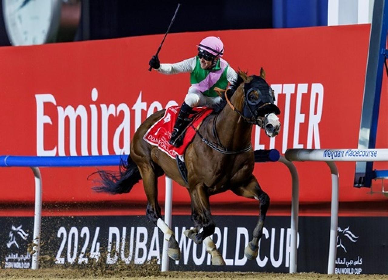 28. Dubai World Cup’ta zafere Laurel River ulaştı