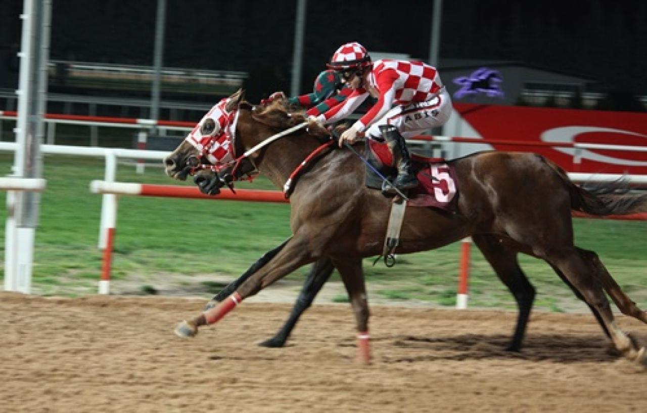 Mersin Büyükşehir Belediye Başkanlığı Koşusu’nu Selanik Aslanı kazandı