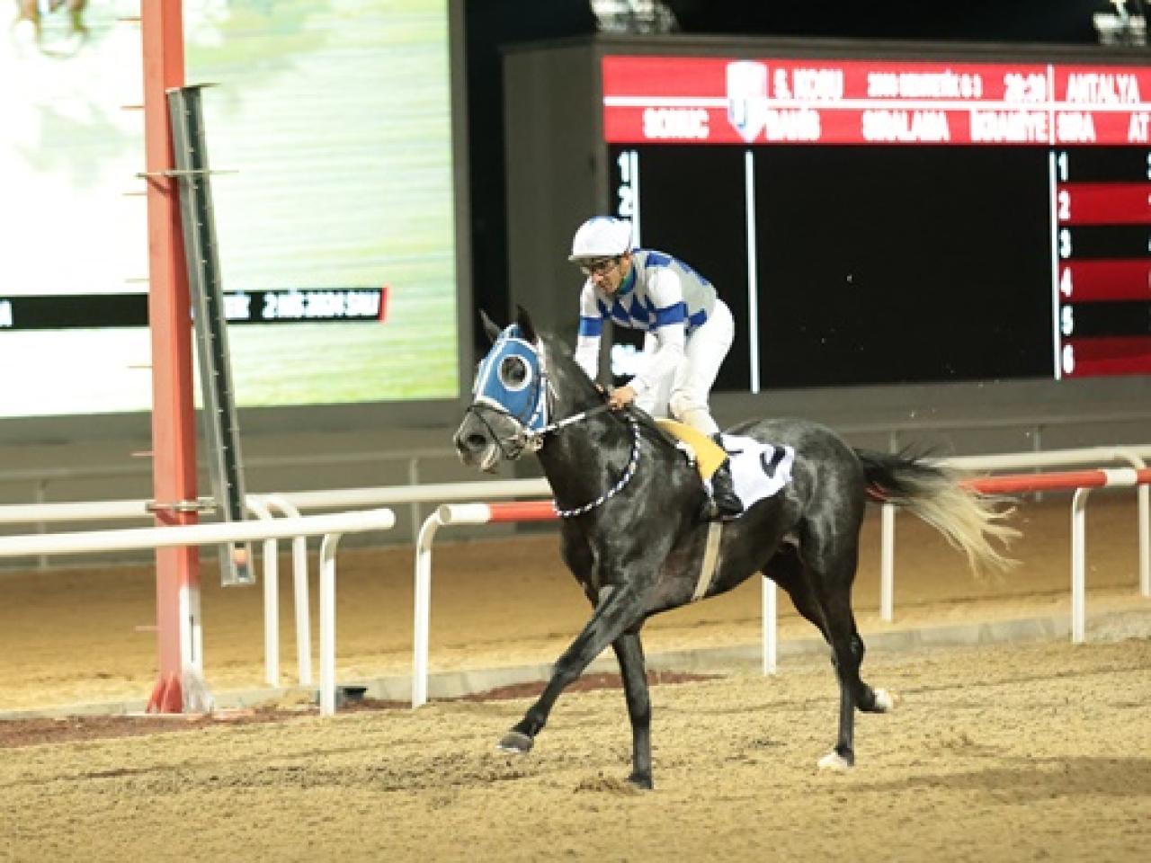 Antalya'da düzenlenen G3 koşuyu Jafar kazandı