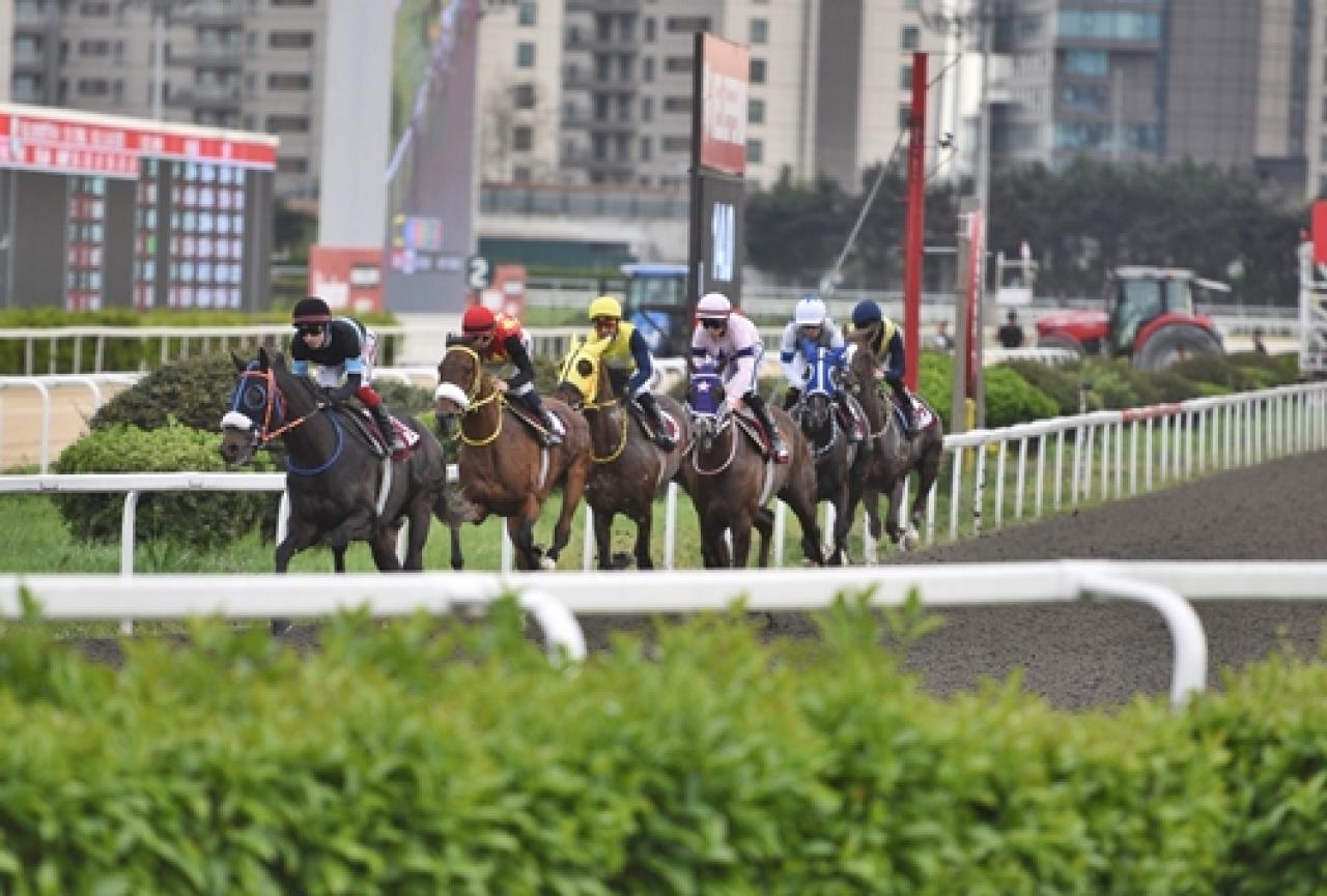 Adil Tügel Koşusu'nu Attalos kazandı