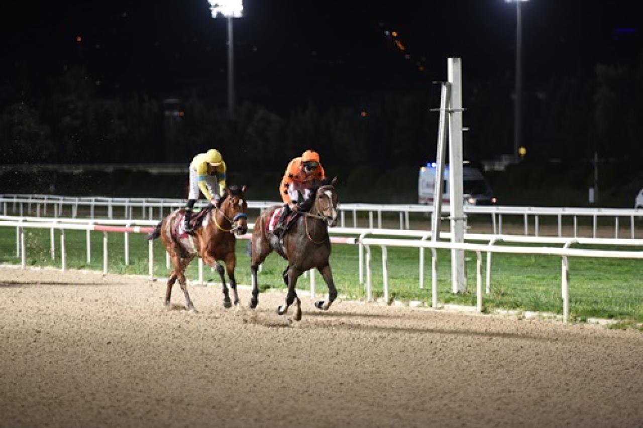 Osman Aksoy Koşusu'nu Ada Kızı kazandı