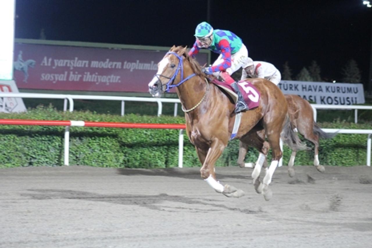 Şanlıurfa Türk Hava Kurumu Koşusu’nu Yıldızkıran kazandı