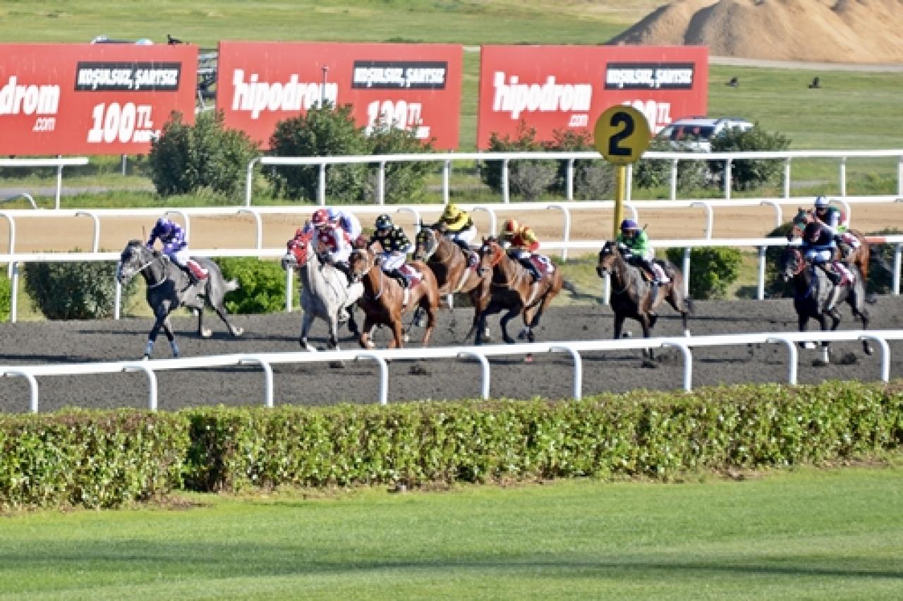 Gültekin Alpay Koşusu'nu üst üste ikinci kez Oklahoma kazandı