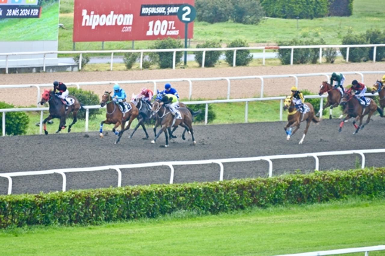 Tali Çalbatur Koşusu'nda kazanan Prenses Sylvester oldu