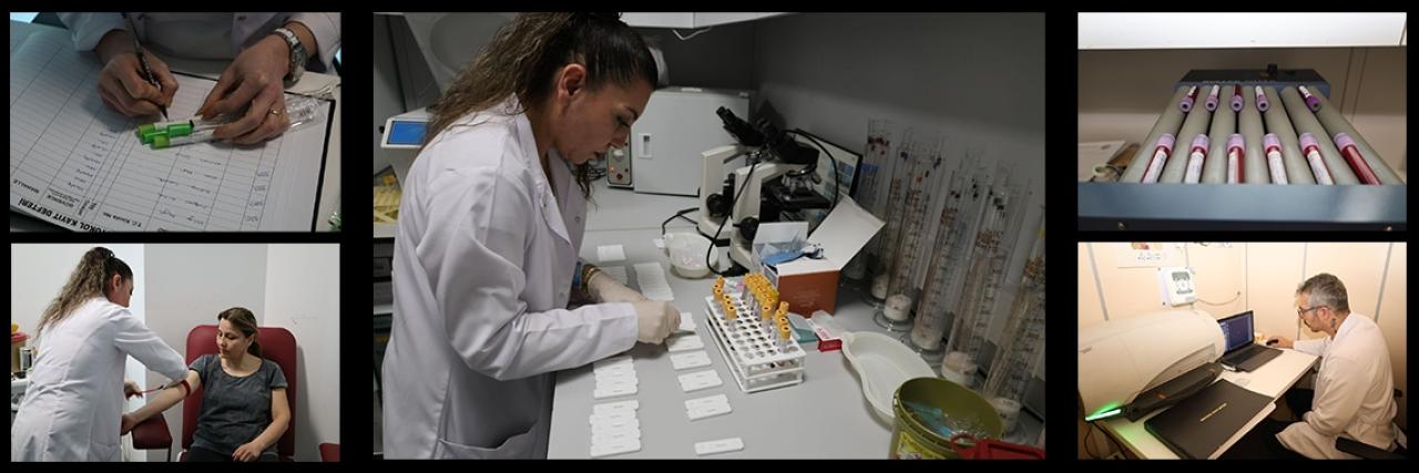 SARIYER BELEDİYESİ’NDEN ESNAFA PORTÖR MUAYENE HİZMETİ