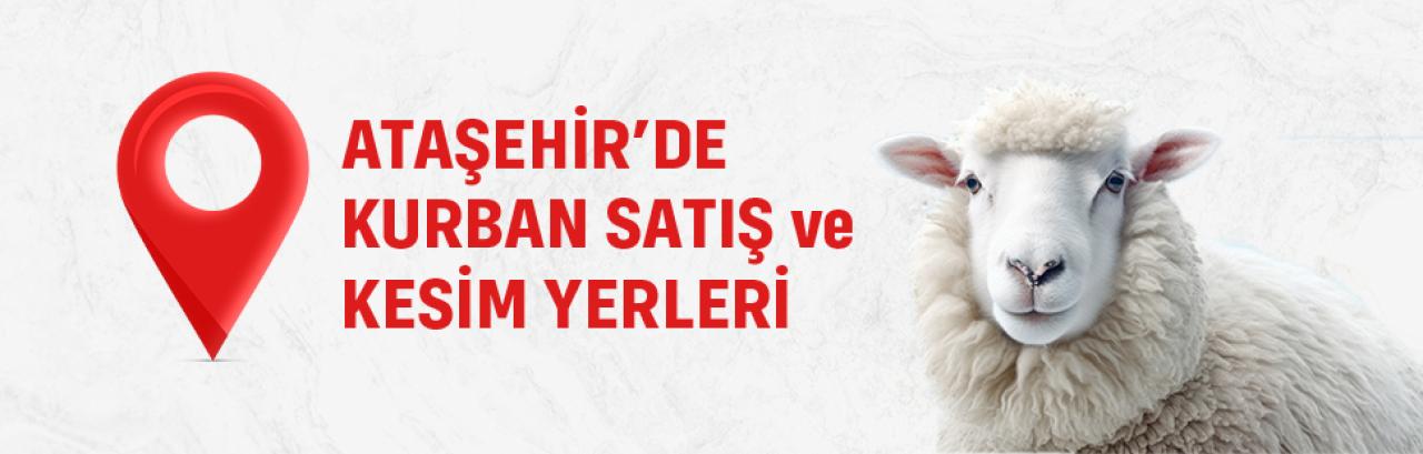 ATAŞEHİR’DE 5 NOKTA KURBAN SATIŞ VE KESİM ALANI OLARAK BELİRLENDİ