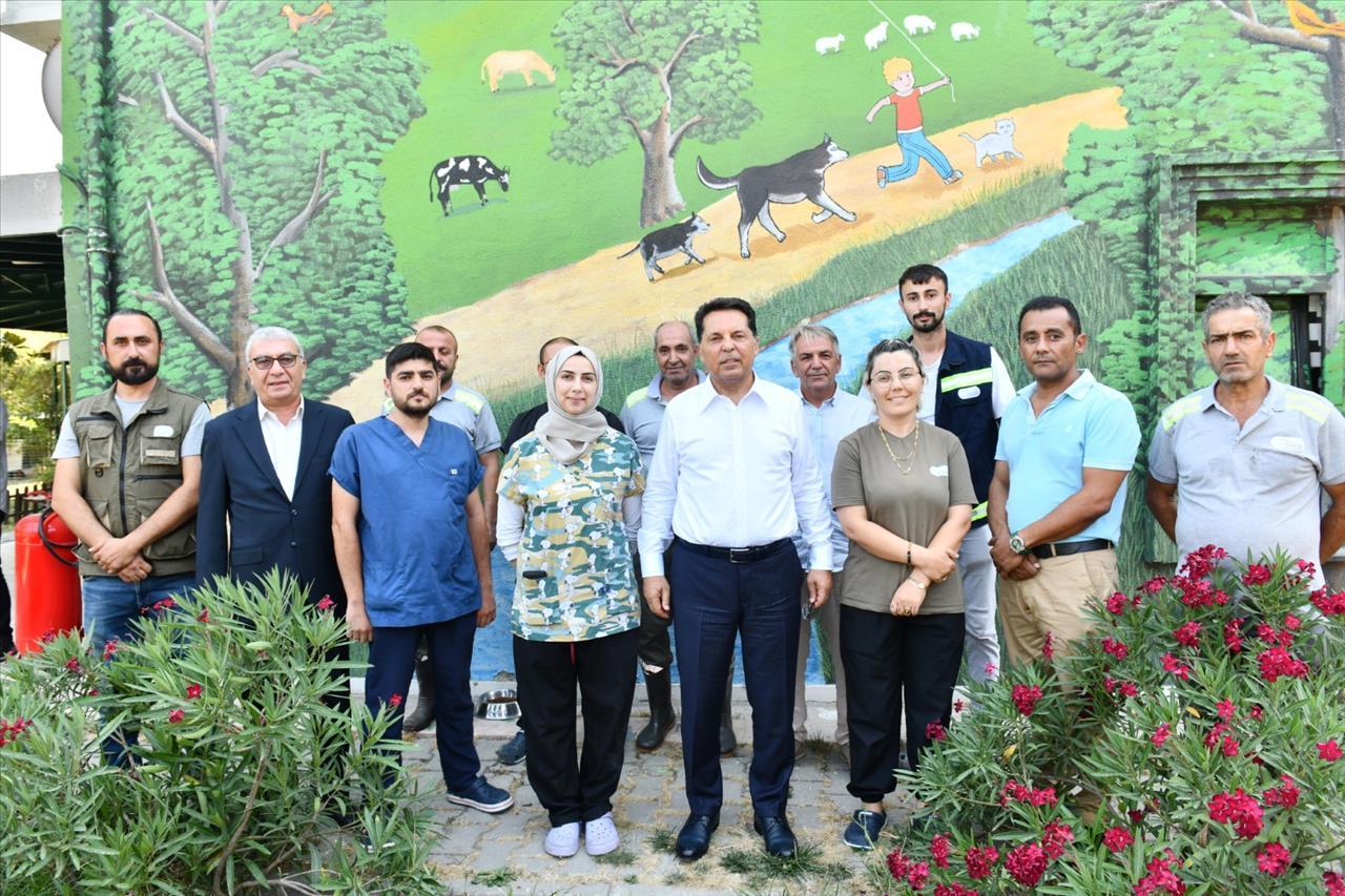 Başkan Özer’den Hayvan Hakları Yasasına İlişkin Önemli Açıklama