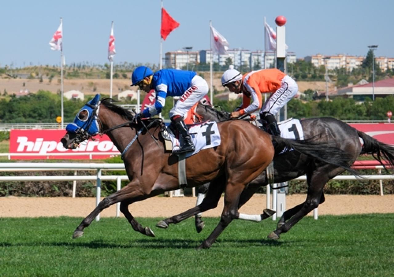 Karadeniz Koşusu’nda galibiyete ulaşan Sidneys Star oldu