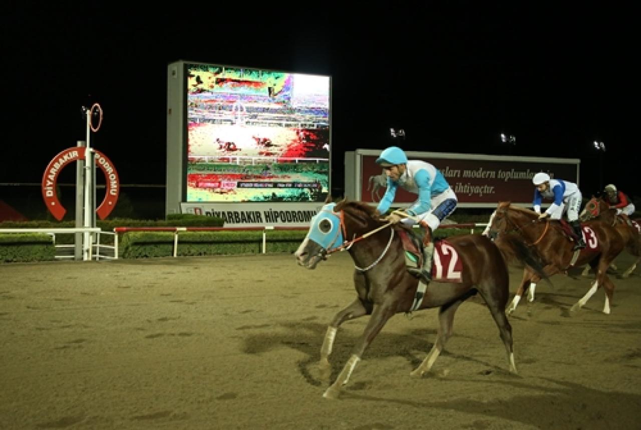 Diyarbakır Jandarma Koşusu'nu Sararhan kazandı