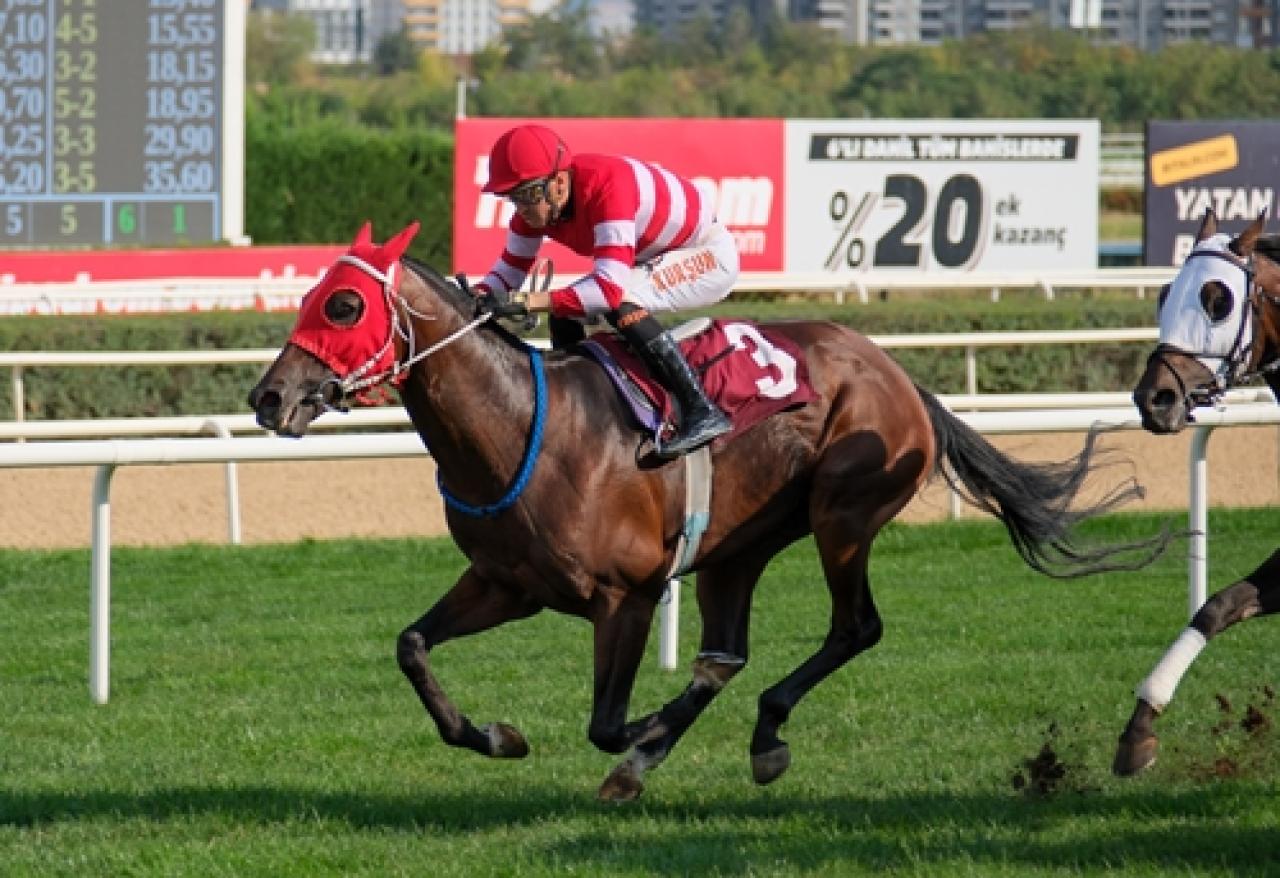 Yenimahalle Belediye Başkanlığı Koşusu’nda Storm Blood galibiyete ulaştı