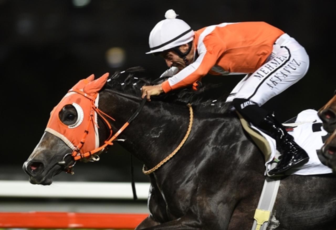 Uluslararası İstanbul Koşusu’nda galibiyete General Briella ulaştı