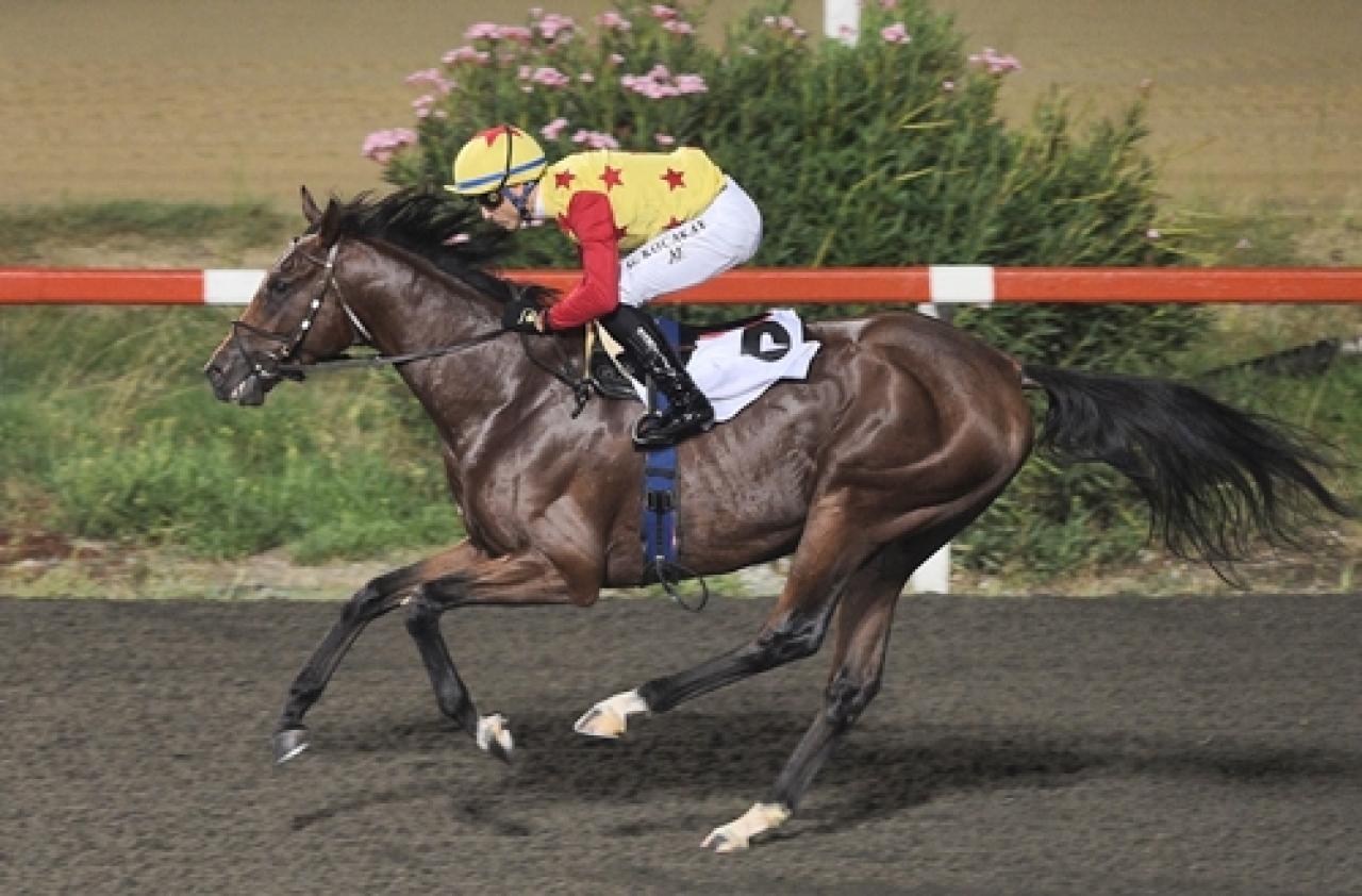 Uluslararası France Galop Anadolu Koşusu’nda zafere Alp The Hero uzandı