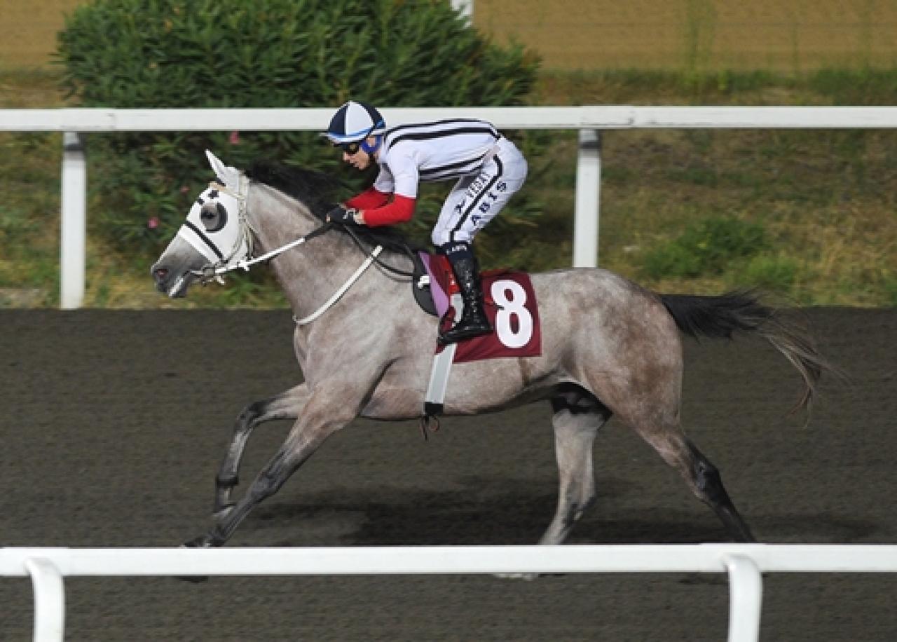 Uluslararası IFAHR Koşusu’nda kazanan Katı Zamanı oldu