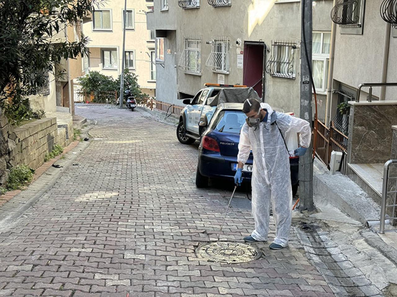 SİNEK VE HAŞERELERE KARŞI KÂĞITHANE’DE TAM ZAMANLI MÜCADELE