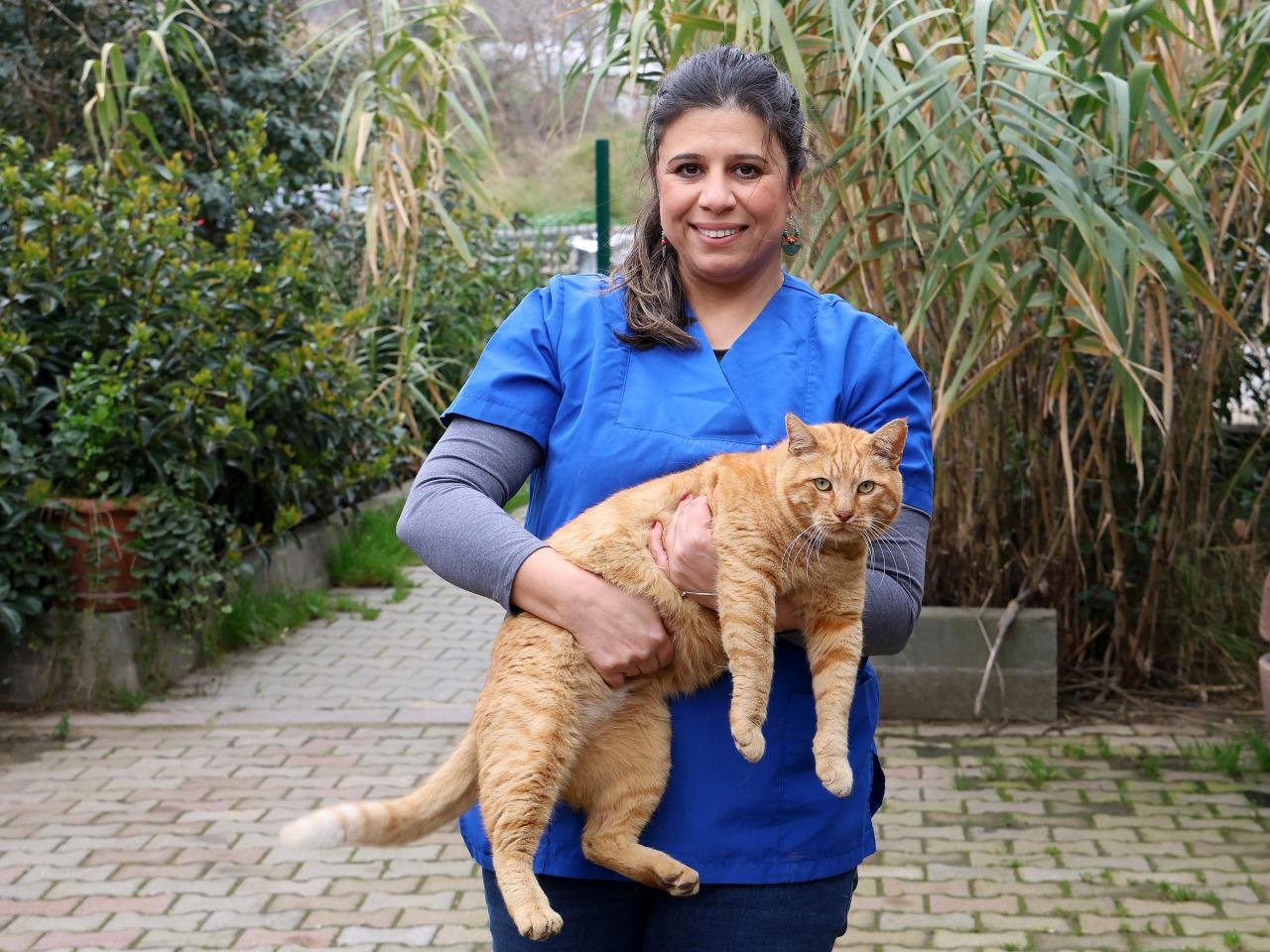 7 AYDA 7 BİNE YAKIN SOKAK HAYVANINA TEDAVİ SAĞLANDI