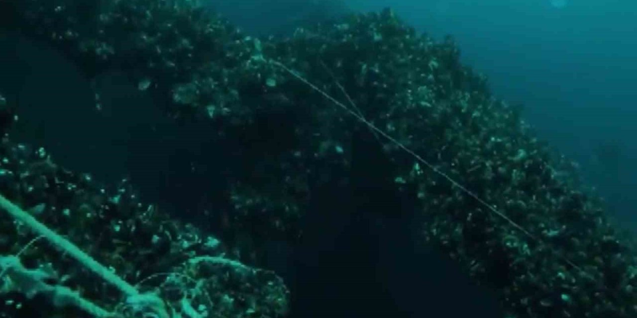 SERBEST DALIŞÇI, 1991 YILINDA İSTANBUL BOĞAZI’NDA BATAN GEMİYİ GÖRÜNTÜLEDİ