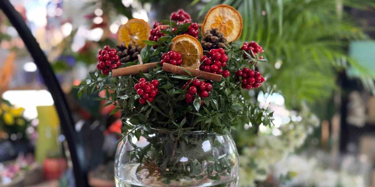 KOKİNA ÇİÇEKLERİ YILBAŞINA HAZIR