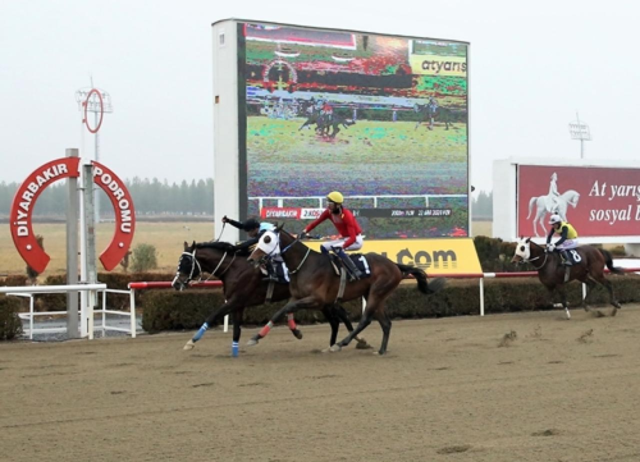 Bismil Kaymakamlığı Koşusu’nda kazanan Serin Çocuk oldu