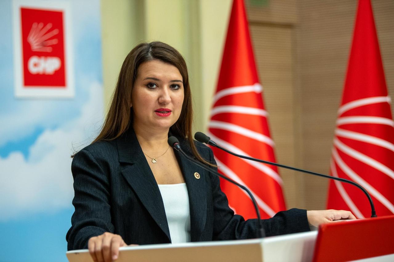 Gökçe Gökçen’den Yılmaz Tunç’a: “Tayfun Kahraman, Sednaya Hapishanesinde Olmadığı İçim mi Kötü Muamele Hoş Görülüyor?”