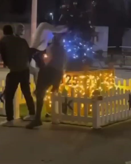 YILBAŞI AĞACINA BALTALI SALDIRI KAMERADA