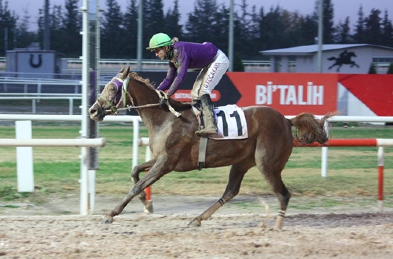 Adana’daki G3 koşuyu Kalbimdesin kazandı