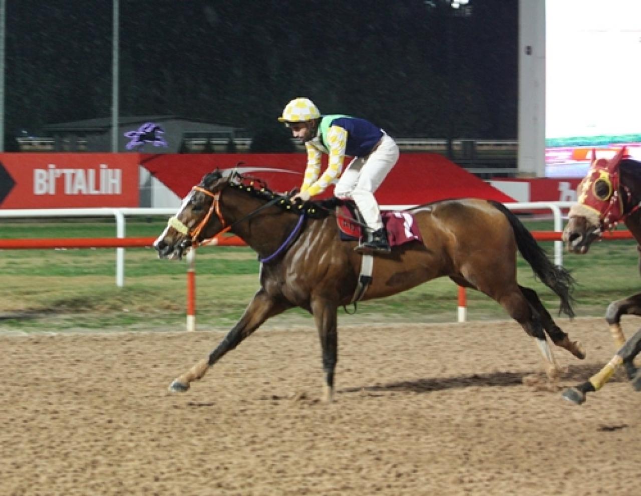 Kozan Belediyesi Koşusu’nda galibiyete ulaşan Madam Oracle oldu