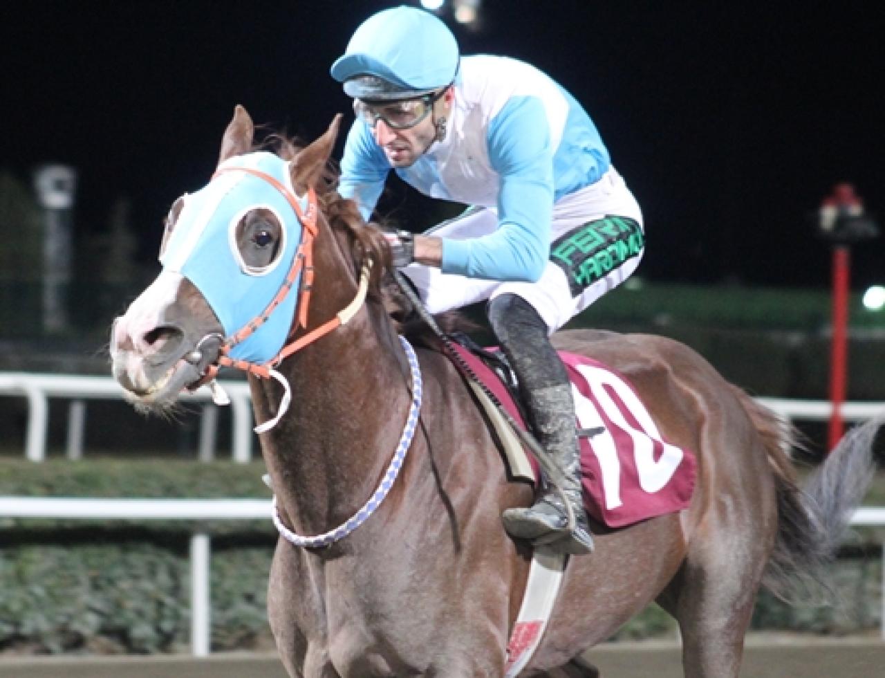 Haliliye Belediye Başkanlığı Koşusu’nu Sararhan kazandı